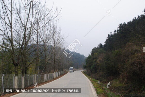 道路