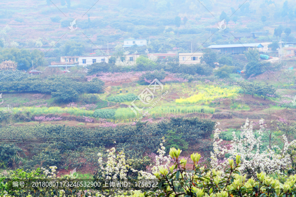 成都龍泉驛區(qū)寶獅湖村