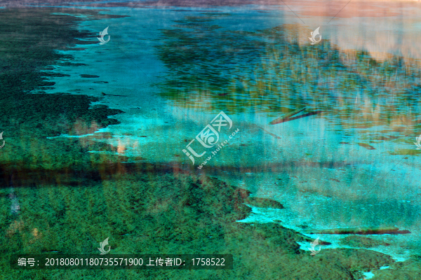 九寨溝的水