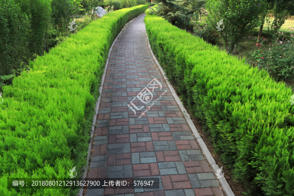 林間小路
