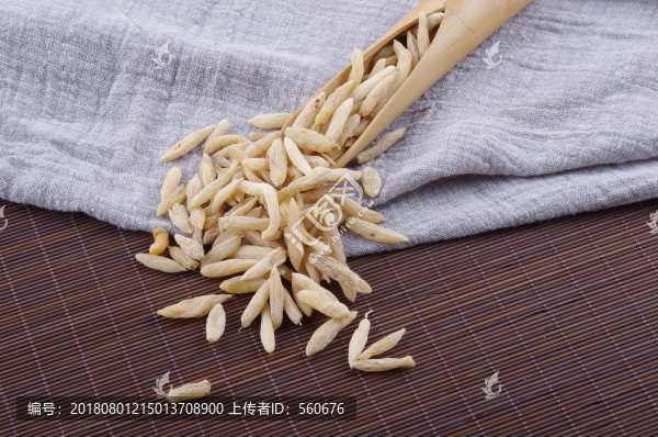 麥冬