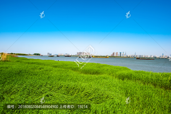 長江江岸
