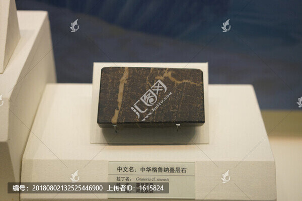 震旦亞界中華格魯納疊層石