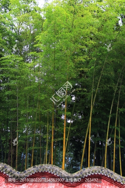 翠竹紅墻
