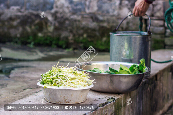 新鮮的蔬菜