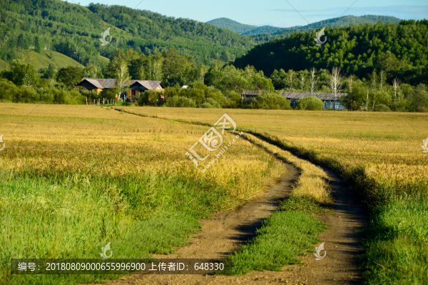 田園小路