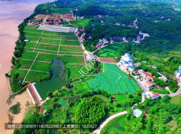 航拍嘉陵江畔高峰村