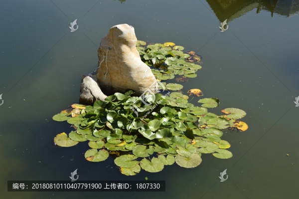 園林景觀