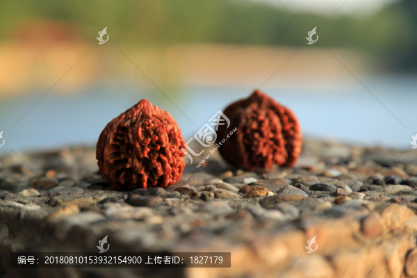 文玩核桃