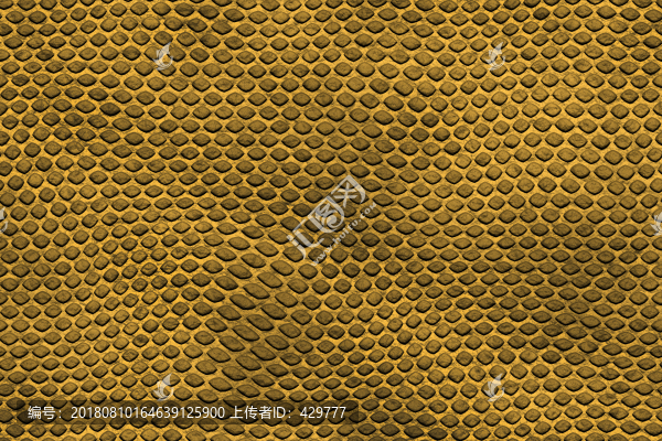 模擬動物皮