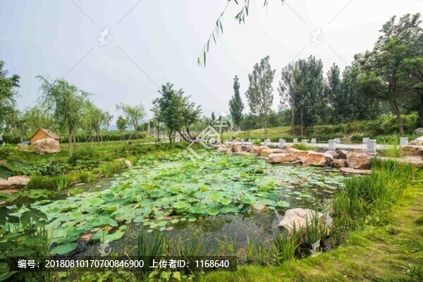 鄉(xiāng)村美景