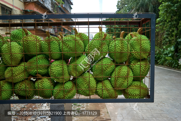 創(chuàng)意雕塑