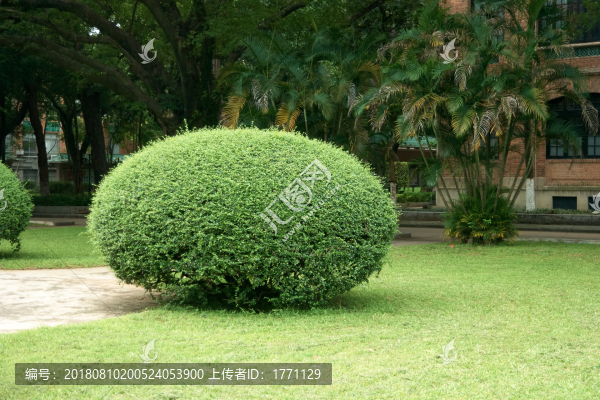 園林造型