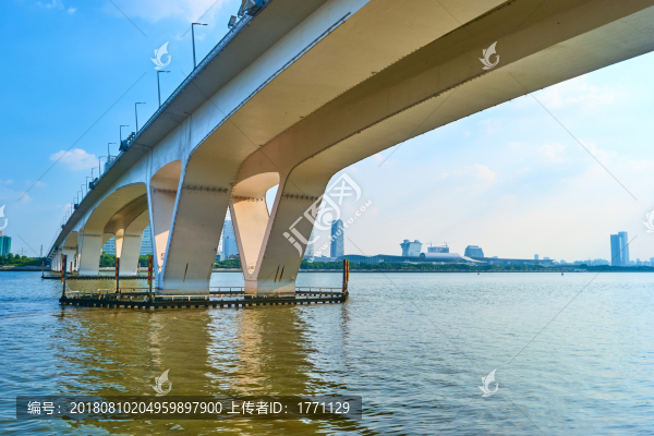 琶洲大橋
