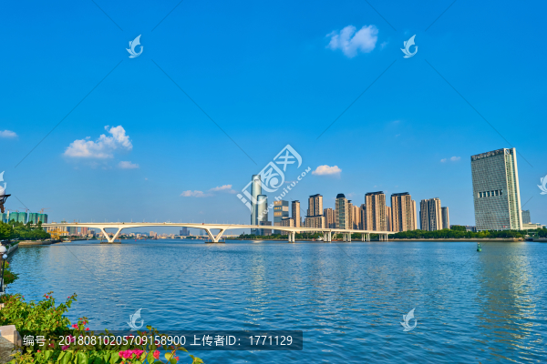 琶洲大橋