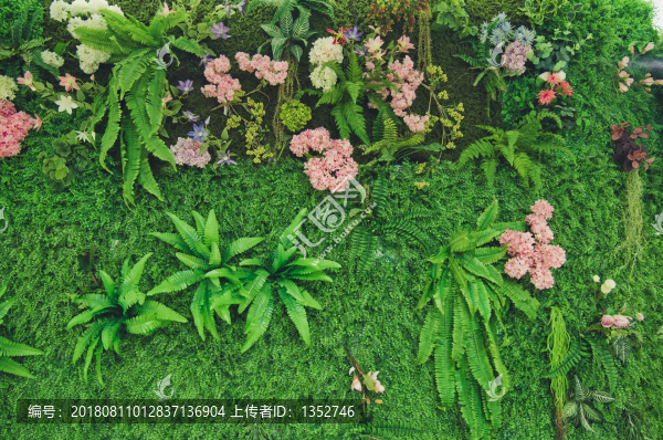 植物墻