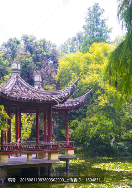 公園