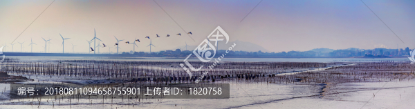 灘涂暮色