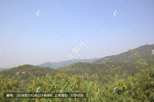 山