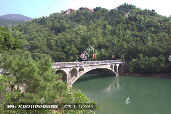 橋