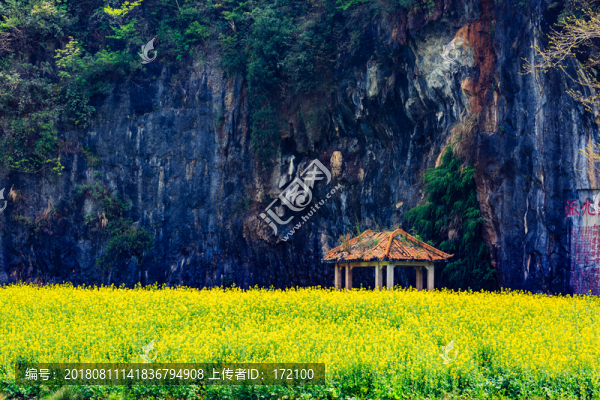 中國(guó)連州湟川三峽油菜花田