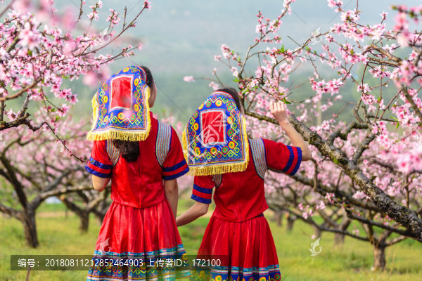 中國連州瑤族少女與桃花