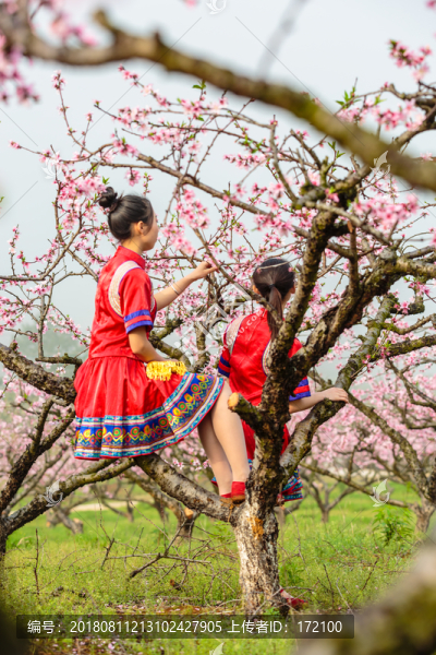 中國連州瑤族少女與桃花