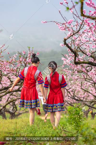 中國連州瑤族少女與桃花