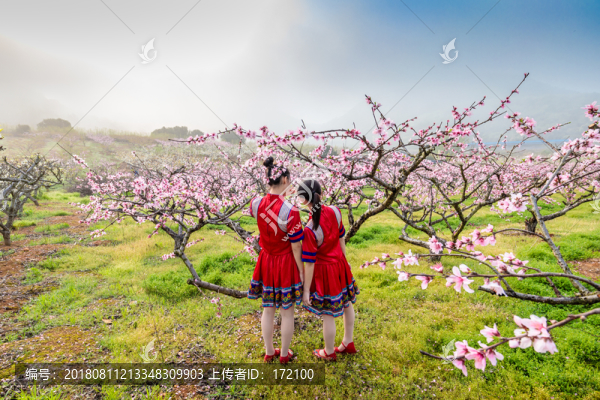 中國連州瑤族少女與桃花