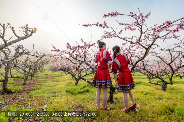 中國連州瑤族少女與桃花