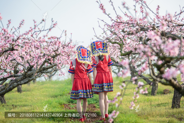 中國連州瑤族少女與桃花