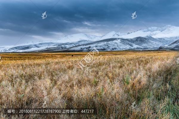 青海雪山風(fēng)光