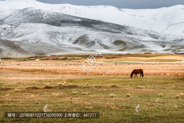 青海雪山