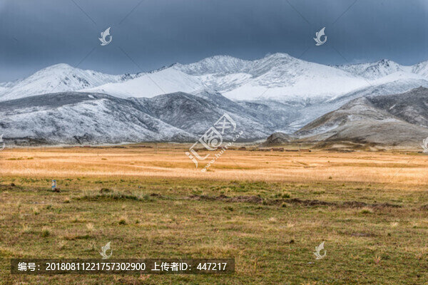 青海雪山風(fēng)光