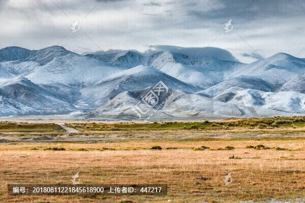 青海雪山風光