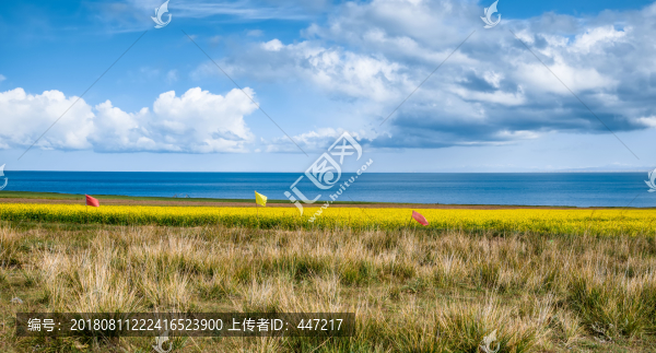 青海湖