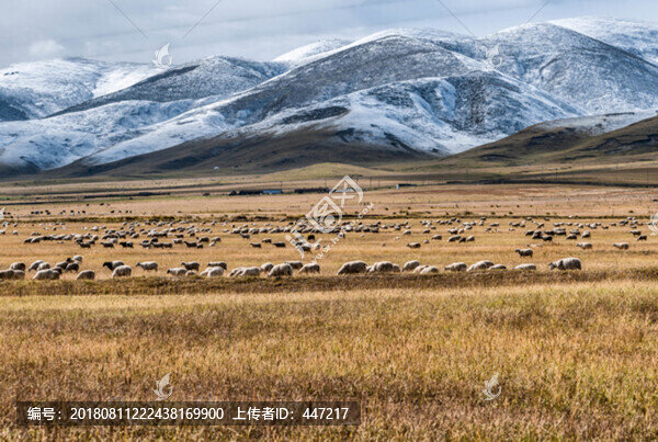 青海雪山風(fēng)光