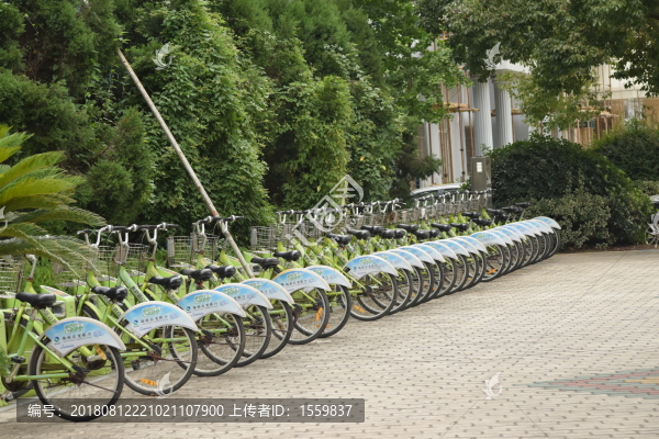 路橋公共自行車