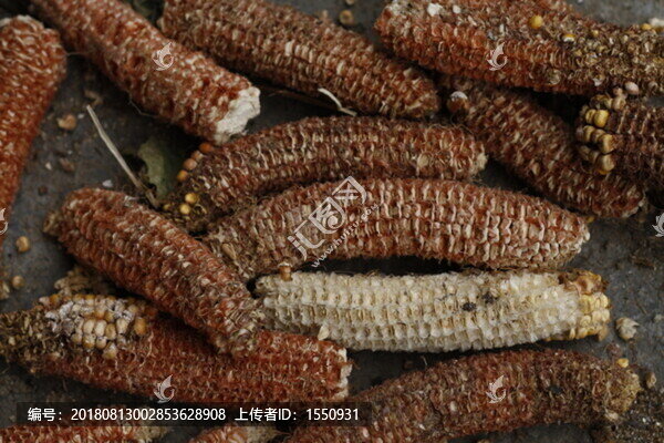 玉米球