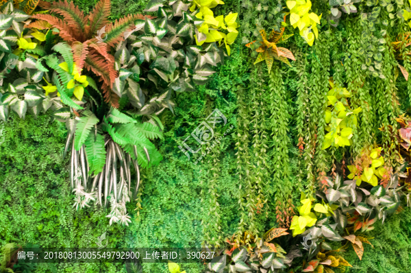 綠植墻