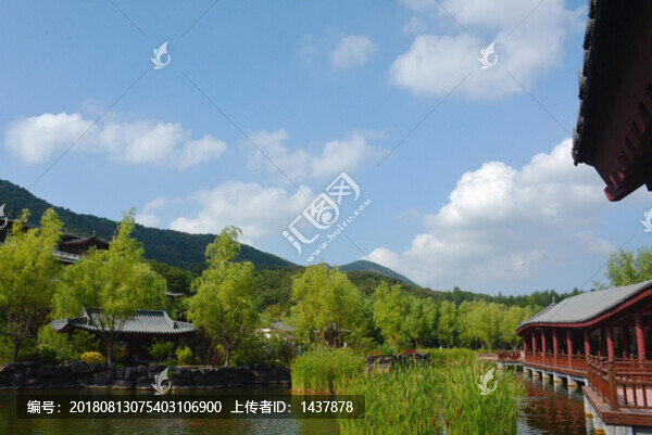 橫山寺放生池一景
