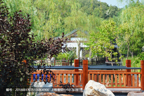 樹(shù)林深處的白色小屋