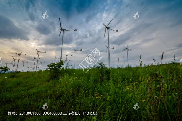 錦州世博園燈光節(jié)