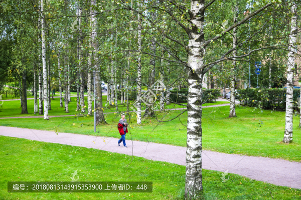 公園草坪樹(shù)木