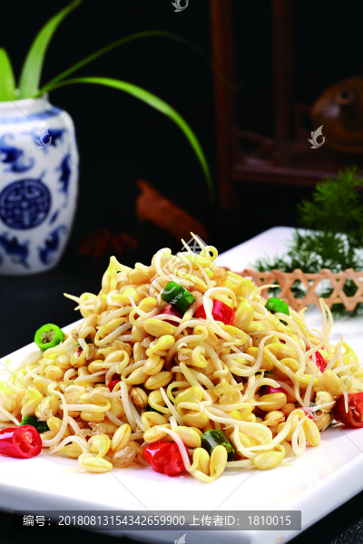 養(yǎng)生小豆芽