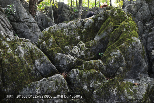 奧陶紀(jì)石林公園