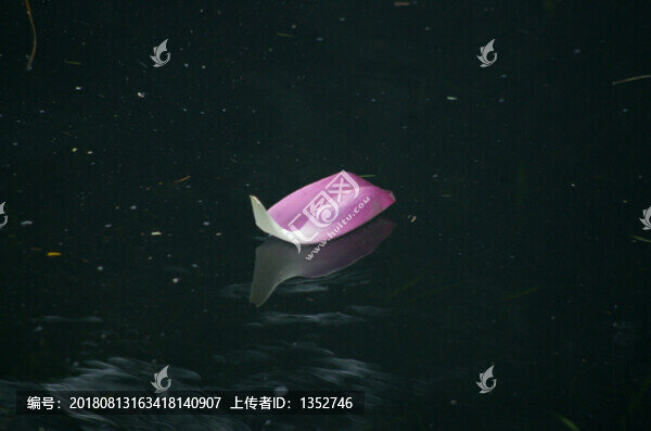 荷花瓣
