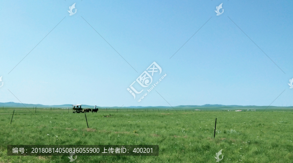 草原游客