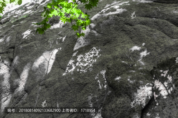 巖石綠葉光影背景55