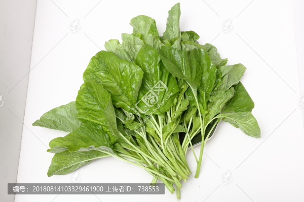 蔬菜